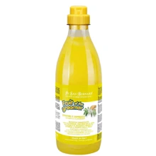 Шампунь Iv San Bernard Ginger and Elderberry дезинфицирующий с бузиной и имбирем 1 л (1579 NSHAZE1000): Тип средства Шампуни