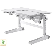 Детский стол Mealux Kingwood TG/G (BD-820 TG/G): Тип Парта