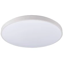 Светильник Nowodvorski 8186 Agnes LED 1x22W 4000K: Тип Потолочные светильники