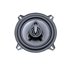 Celsior CS-5300: Тип коаксиальная автоакустика