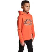 Худи H&M 5820537 170 см оранжевое: Тип Худи