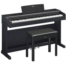 Цифровое пианино YAMAHA ARIUS YDP-144B (+блок питания): Тип Интерьерные
