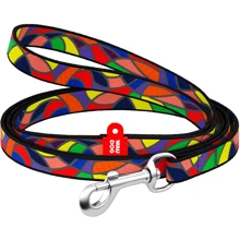 Поводок WAUDOG Nylon, рисунок "Витраж" 10 мм 122 см разноцветный (5234): Тип Поводок