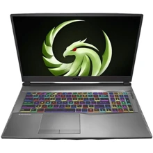 Ноутбук MSI Alpha 17 A4DEK (A4DEK-021US): Экран 17.3" IPS (1920x1080) Full HD