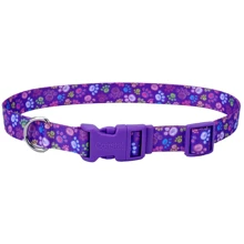 Нашийник Coastal Pet Attire Style для собак фіолетовий 1x12-30 см: Виробник Coastal
