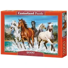 Пазлы Castorland Табун лошадей 2000 элементов (С-200702): Производитель CASTORLAND