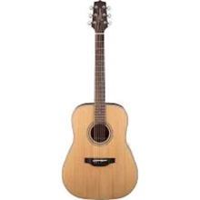 Акустическая гитара Takamine GD20-NS: Тип Акустическая гитара