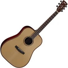 Акустическая гитара CORT AS-E4 (NAT) w/case: Тип Акустическая гитара