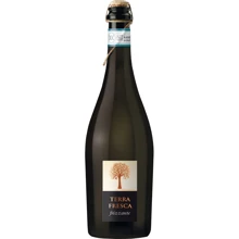 Вино игристое Terra Fresca "Spago" Frizzante (сухое, белое) 0.75л (BDA1VN-STF075-001): Страна производитель Италия
