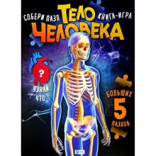Тіло людини: Виробник Виват