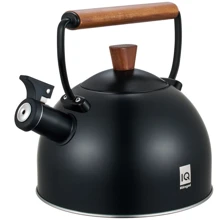Чайник Ringel IQ Вe Natural 2.5 л (IQ-1001): Объем, л 2.5