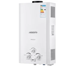 Водонагреватель газовый Ardesto X1 (TFGBH-10B-X1-WHITE): Вид Дымоходный