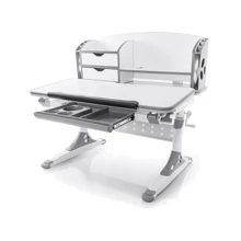 Стол Evo-kids Aivengo (M) Gray (арт.Evo-700 WG): Тип Парта