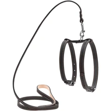 Шлея с поводком Collar для мелких собак, 14мм, 122см, черный: Производитель Collar