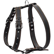Шлея одинарная Collar для средних пород собак, 25мм, черный: Производитель Collar