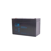 MWPower AGM 12V-120Ah (MWP 120-12h): Тип Аккумулятор
