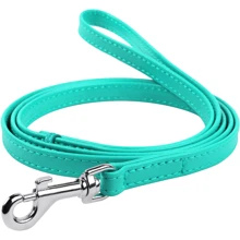 Поводок WAUDOG Glamour 18 мм 122 см ментоловый (337313): Тип Поводок
