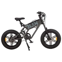 Электровелосипед Kugoo T01, (500 Вт, 48 В, 13 А/ч), колеса 20", серый: Допустимая нагрузка, кг 150