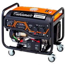 Бензиновий генератор Daishin SCM3000F: Тип електростанції бензиновий