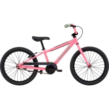 Велосипед 20" Cannondale TRAIL SS GIRLS OS 2021 FLM: Диаметр колес, дюймов 20