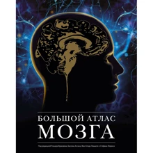 Ламьель, Фраковяк, Леерісі: Великий атлас мозку: Виробник Колибри