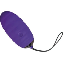 Виброяйцо Adrien Lastic Ocean Breeze Purple: Для кого Для женщин