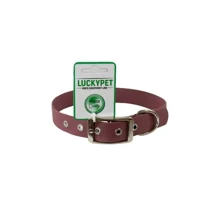 Ошейник водонепроницаемый Lucky Pet с металлической пряжкой 2.5x35-45 см бордовый (4820224216980): Производитель Lucky Pet