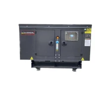 Дизельний генератор UNIVERSAL UND-YD22 KVA: Тип електростанції дизельный