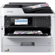 МФУ Epson WorkForce Pro WF-C5790DWF (C11CG02401): Класс устройства офисный