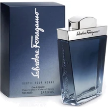 Туалетна вода Salvatore Ferragamo Subtil Pour Homme 100 ml: Вид Туалетна вода