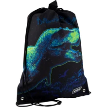 Сумка для взуття Kite 600M Tyrannosaur K20-600M-16: Стать Для хлопчиків