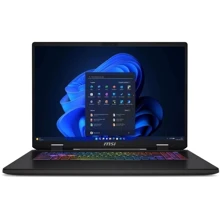 Ноутбук MSI Sword 17 HX B14V (B14VGKG-017XPL): Экран 17.3 " (2560x1600)