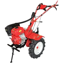 Мотоблок Forte 1350G NEW (колеса 12", 9лс) КРАСНЫЙ: Производитель Forte