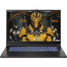 Ноутбук Dream Machines RG4070-17 (RG4070-17UA35) UA: Экран 16" WVA (1920x1080) Full HD