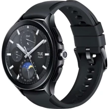 Смарт-часы Xiaomi Watch 2 Pro Black Case with Black Fluororubber Strap (Global): Дисплей 1.43" AMOLED (466x466) / 326 PPI