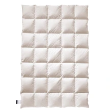 Одеяло Billerbeck E14 Greta Mono 200x220 (8551608001): Тип Всесезонные