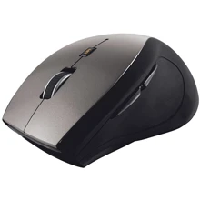 Мышь Trust Sura Wireless Mouse (19938): Интерфейс подключения Wireless