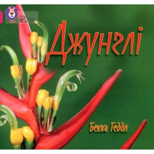 Бекка Геддл: Джунглі: Виробник КМ-Букс