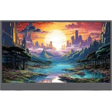 Монитор ZSUS PM14AT black 14" 1920x1080: Покрытие экрана антибликовое