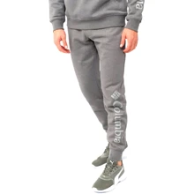 Спортивні штани Columbia CSC Logo™ Fleece Jogger II 1911601-023 48 сірі: Вид Спортивные брюки