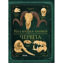 Камилла де ла Бедуайер: Коллекция костей. Черепа: Производитель Клевер Медиа Групп