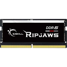 G.Skill 16 GB SO-DIMM DDR5 4800 MHz Ripjaws (F5-4800S3434A16GX1-RS): Тип DDR5