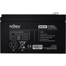 Njoy GP09122F 12V VRLA (BTVACIUOCTA2FCN01B): Тип Аккумулятор