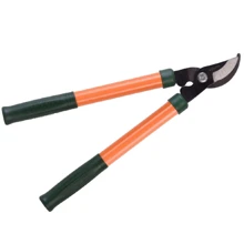 Сучкорез Sturmax 3015M-01-01: Тип веткорезы