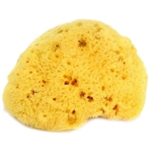 Натуральная губка OK Baby Honeycomb sea sponge р.14 желтый (38471400): Производитель Ok Baby