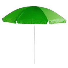 Time Eco ТЕ-002 (4000810000548GREEN): Тип зонт
