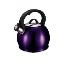 Чайник Berlinger Haus Purple Eclipse 3 л (6831-BH): Объем, л 3