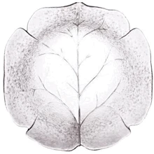 Салатник Luminarc Leafen G8207 (280 мм): undefined undefined