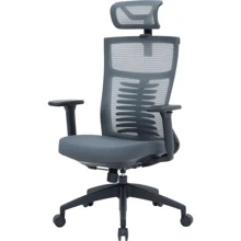 Офісне крісло OfficePro Balance (OC550-B-DG-DG): Тип для персоналу