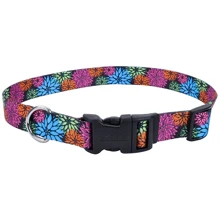 Нашийник Coastal Pet Attire Style для собак чорний 1x12-30 см: Виробник Coastal